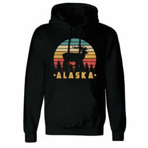 Hide And Seek Alaska Hoodie